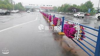 信阳工五路最新爆料,揭秘改造进展与周边变化